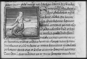 object 00064: 00064-1