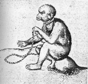 object 00075: 00075-3