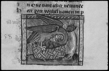 object 00079: 00079-2