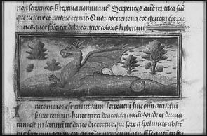 object 00081: 00081-1