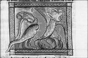 object 00081: 00081-2