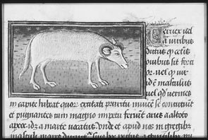 object 00089: 00089-1