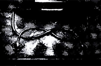 object 17626: 17626